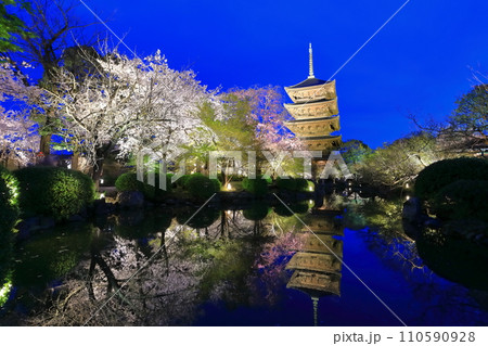 【京都府】東寺と満開の夜桜（夜間特別拝観） 110590928