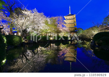 【京都府】東寺と満開の夜桜（夜間特別拝観） 110590929