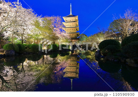 【京都府】東寺と満開の夜桜（夜間特別拝観） 110590930