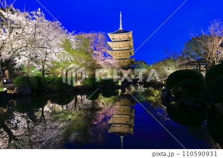 【京都府】東寺と満開の夜桜（夜間特別拝観） 110590931