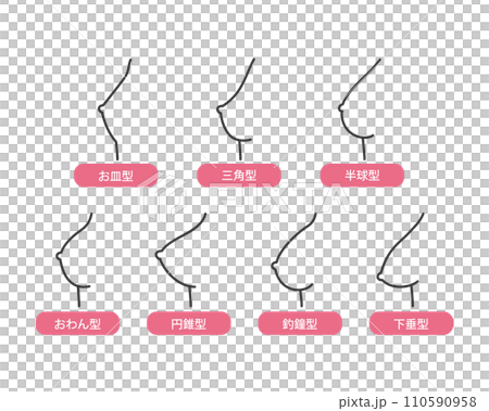 女性のバスト・乳房の形の種類のイラスト　シンプルタッチ 110590958