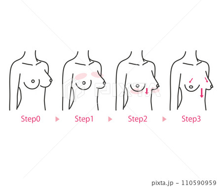 加齢によるバストのかたちの変化のイラスト　シンプルタッチ 110590959