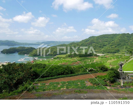 唐津市肥前町 大浦の棚田 (佐賀県) 唐津市肥前町 大浦の棚田 (佐賀県) 110591350