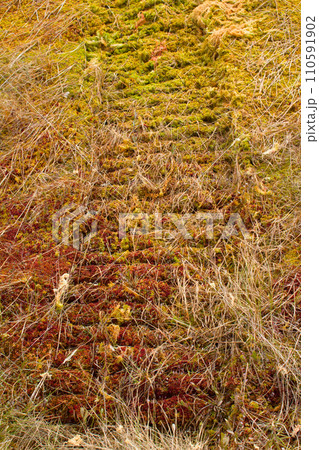 Trail plastic caterpillars modern Rover on moss - save tundra 110591902