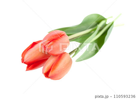 Tulips bouquet 110593236
