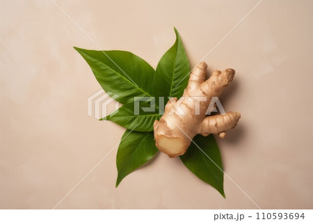 Ginger green leaves nature. Slice dry. Generate Ai 110593694