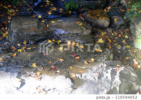 箕面瀧安寺弁天堂の石段とモミジの落葉-3 110594052