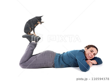 miniature pinscher and woman in studio 110594378
