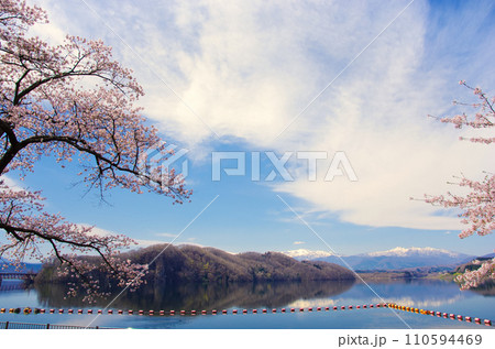 桜と釜房湖(釜房ダム)【宮城県川崎町】 桜と釜房湖(釜房ダム)【宮城県川崎町】 110594469