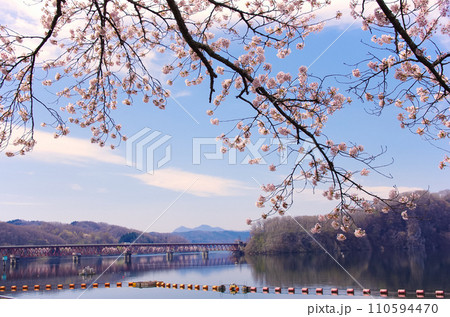 桜と釜房湖(釜房ダム)【宮城県川崎町】 桜と釜房湖(釜房ダム)【宮城県川崎町】 110594470