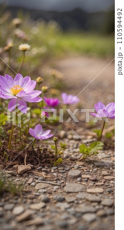 Gentle Spring Flowers Background Gentle Spring Flowers Background 110594492