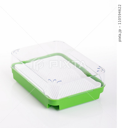 Cress growing kit. Green germination tray with white sieve insert and transparent cover. Sprouting set for sprouting seeds, and for growing shoots on the windowsill, without soil, and on water basis. Cress growing kit. Green germination tray with white sieve insert and transparent cover. Sprouting set for sprouting seeds, and for growing shoots on the windowsill, without soil, and on water basis. 110594622