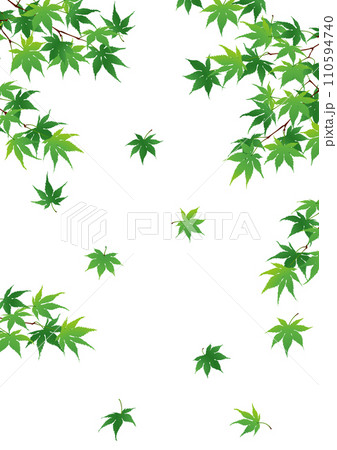 もみじ 背景素材 もみじ 背景素材 110594740