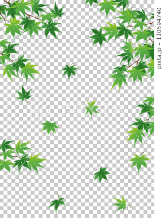 Maple background material 110594740