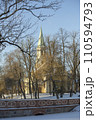 Winter city landscapes of Kuldiga, Latvia. Ancient buildings through a pattern of trees. Vertical frame. High quality photo 110594793
