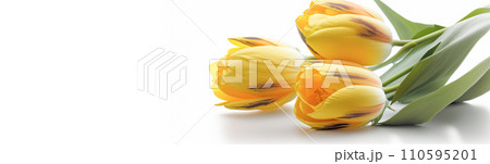 AI-generated content. Beautiful flowers, yellow tulips, white background. Postcard template Women's Day, March 8, Nurse's Day 110595201