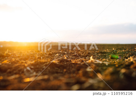 Plowed field at sunset. Agriculture, soil before sowing. Fertile land texture, rural field landscape. 110595216