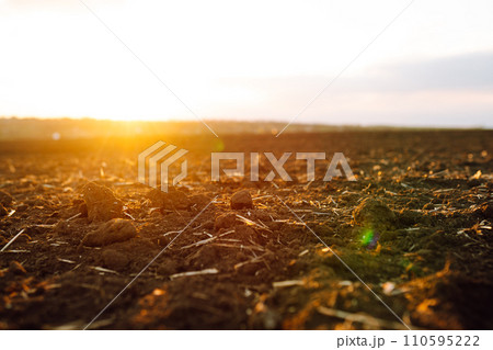 Plowed field at sunset. Agriculture, soil before sowing. Fertile land texture, rural field landscape. Plowed field at sunset. Agriculture, soil before sowing. Fertile land texture, rural field landscape. 110595222