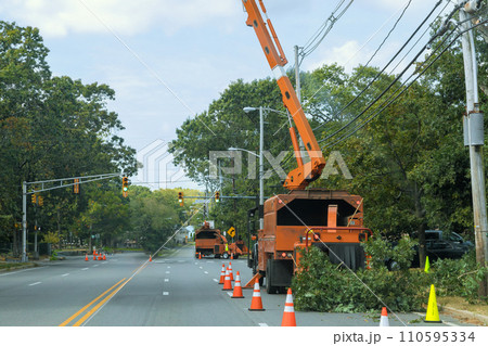 Branches that have been ground into chips by wood chipper machine are shredded wood 110595334