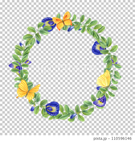Wreath of blue wisteria and yellow butterflies. Clitoria ternatea, Fluttering lepidoptera. Green leaves, flowers, buds. Blooming branches of Asian plant. Butterfly pea flower. Watercolor illustration. Wreath of blue wisteria and yellow butterflies. Clitoria ternatea, Fluttering lepidoptera. Green leaves, flowers, buds. Blooming branches of Asian plant. Butterfly pea flower. Watercolor illustration. 110596146
