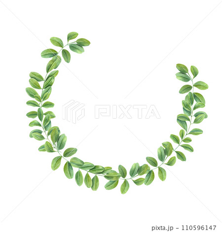 Wreath of green leaves. Climbing Branches of Asian plant. Cassia, Wisteria. Butterfly pea flower. Watercolor illustration. For postcards, greetings, invitation. Copy space for text 110596147