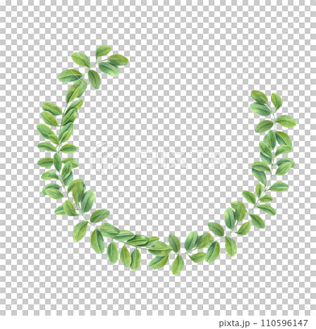 Wreath of green leaves. Climbing Branches of Asian plant. Cassia, Wisteria. Butterfly pea flower. Watercolor illustration. For postcards, greetings, invitation. Copy space for text Wreath of green leaves. Climbing Branches of Asian plant. Cassia, Wisteria. Butterfly pea flower. Watercolor illustration. For postcards, greetings, invitation. Copy space for text 110596147