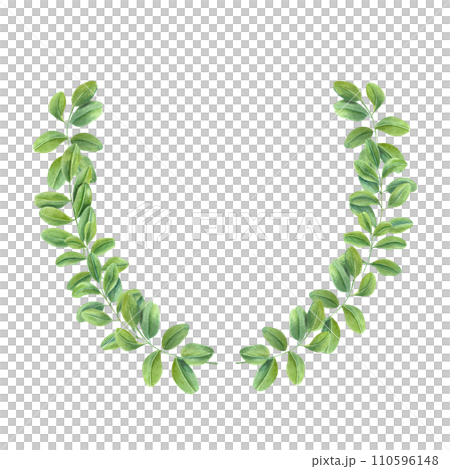 Green leaves. Wreath of climbing Branches of Asian plant. Cassia, Wisteria. Butterfly pea flower. Watercolor illustration. For postcards, greetings, invitation. Copy space for text 110596148