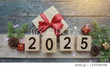 2025 2025 110596266
