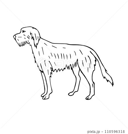 Vector hand drawn doodle sketch wolfhound dog Vector hand drawn doodle sketch wolfhound dog 110596318