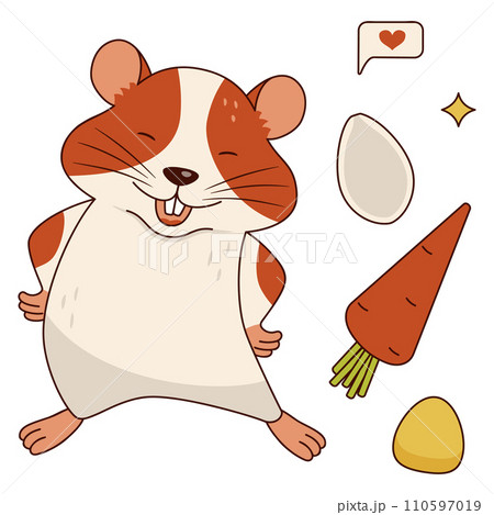 Cute orange and white hamster, carrot, corn kernel, pumpkin seed. Isolated on a white background. 110597019