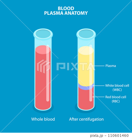 3D Isometric Flat Vector Illustration of Blood Plasma Anatomy 110601460