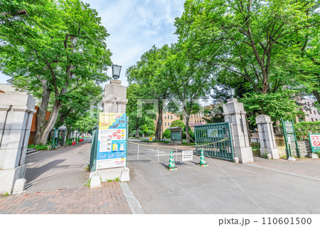 北海道札幌市 晴天の国立学校法人北海道大学 北海道札幌市 晴天の国立学校法人北海道大学 110601500