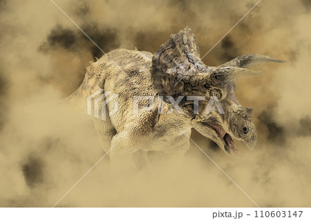 Triceratops  ,dinosaur in the dark 110603147