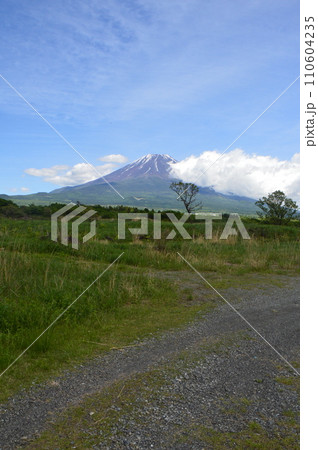 富士山（朝霧高原／静岡県富士宮市） 110604235