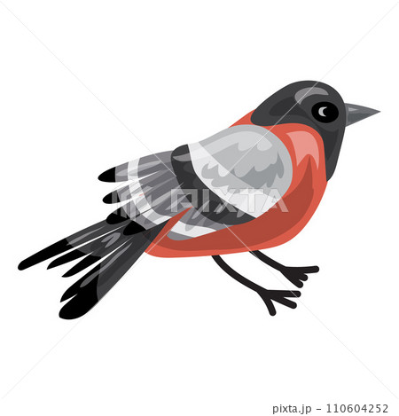 Bullfinch icon. Cartoon of bullfinch vector icon for web design isolated on white background 110604252