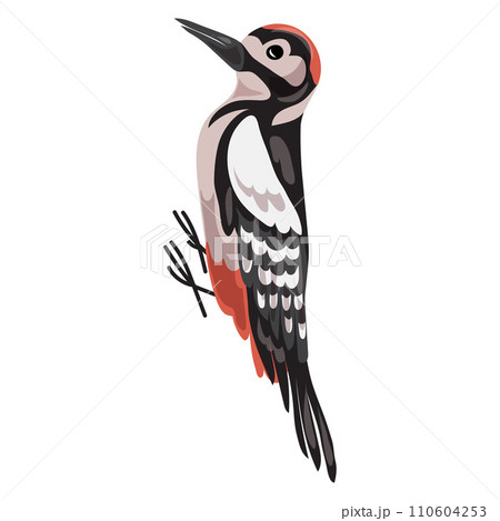 Woodpecker icon. Cartoon of woodpecker vector icon for web design isolated on white background 110604253