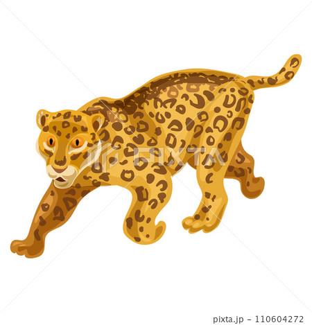 Cheetah icon. Cartoon of cheetah vector icon for web design isolated on white background Cheetah icon. Cartoon of cheetah vector icon for web design isolated on white background 110604272