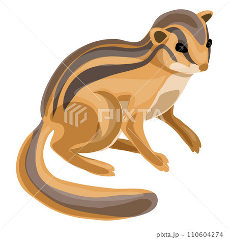 Chipmunk icon. Cartoon of chipmunk vector icon for web design isolated on white background Chipmunk icon. Cartoon of chipmunk vector icon for web design isolated on white background 110604274