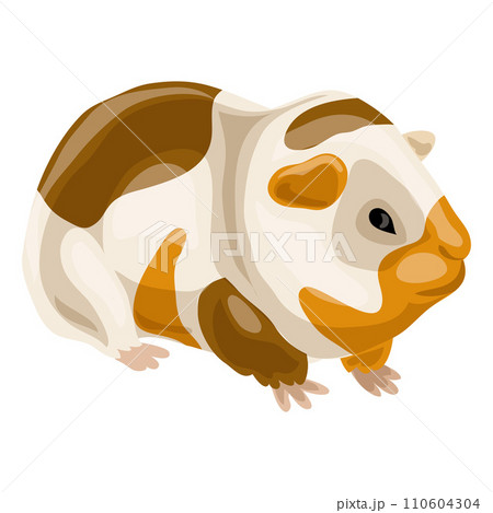 Sea pig icon. Cartoon of sea pig vector icon for web design isolated on white background Sea pig icon. Cartoon of sea pig vector icon for web design isolated on white background 110604304