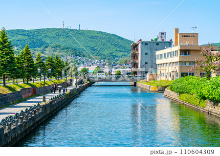【北海道】観光スポットで有名な小樽運河 110604309
