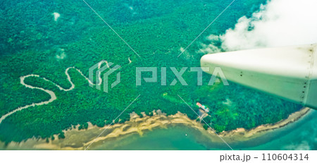 aerial view of tropical forest 110604314