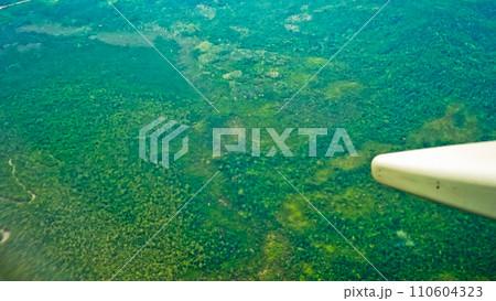 aerial view of tropical forest aerial view of tropical forest 110604323