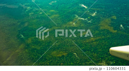 aerial view of tropical forest 110604331