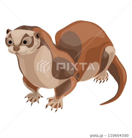 Otter icon. Cartoon of otter vector icon for web design isolated on white background 110604380
