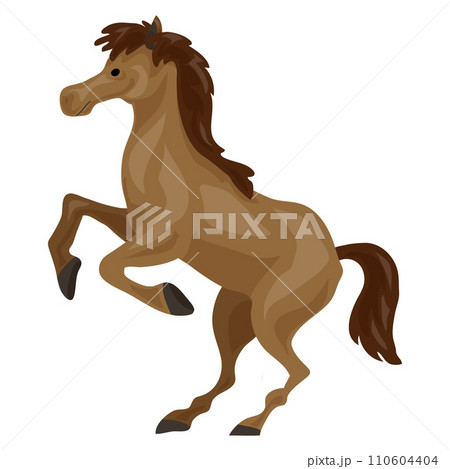 Brown horse icon. Cartoon of brown horse vector icon for web design isolated on white background Brown horse icon. Cartoon of brown horse vector icon for web design isolated on white background 110604404