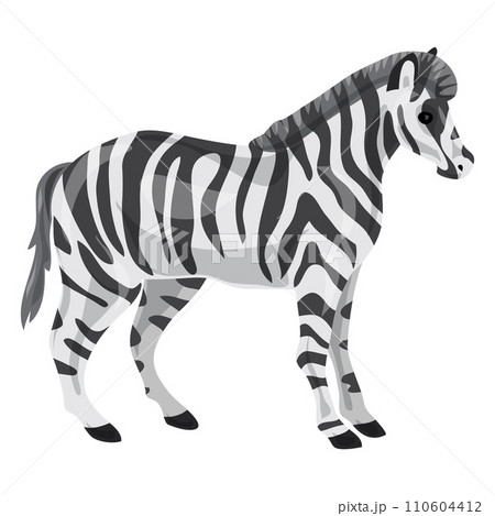 Zebra icon. Cartoon of zebra vector icon for web design isolated on white background 110604412