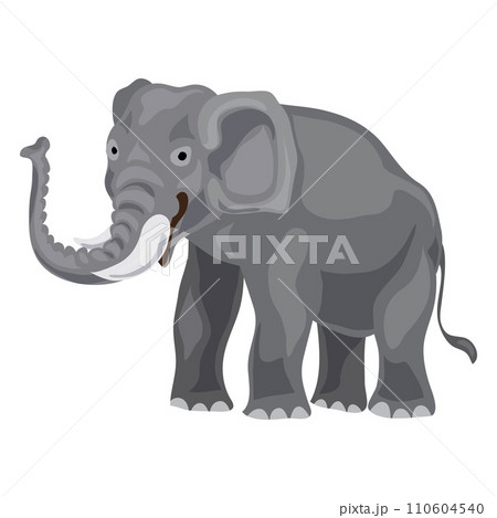 Elephant icon. Cartoon of elephant vector icon for web design isolated on white background Elephant icon. Cartoon of elephant vector icon for web design isolated on white background 110604540
