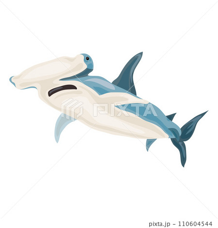 Hammerhead shark icon. Cartoon of hammerhead shark vector icon for web design isolated on white background Hammerhead shark icon. Cartoon of hammerhead shark vector icon for web design isolated on white background 110604544