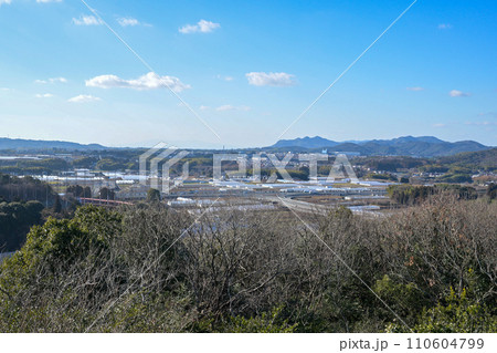 熊本県合志市の風景 110604799