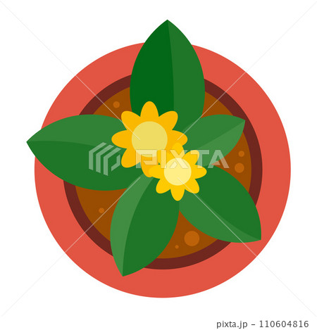 Top view plant pot icon. Flat illustration of top view plant pot vector icon for web design 110604816
